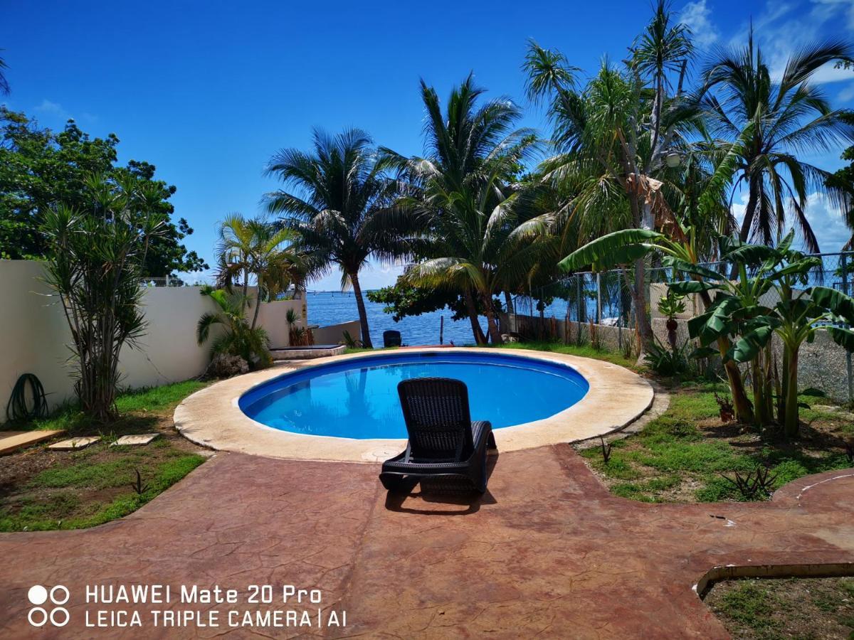Hermoso Studio Con Alberca Zona Hoteles Cancun Cancún Eksteriør billede